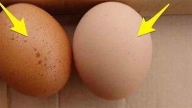 這種雞蛋有毒再便宜也不買，更不要吃！夏季尤其多，趕緊告訴你的家人！