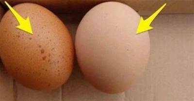 這種雞蛋有毒再便宜也不買，更不要吃！夏季尤其多，趕緊告訴你的家人！