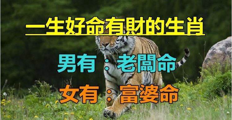 非富即貴 ，一生好命有財的六大生肖　男有老闆命，女有富婆命，一輩子不用為錢發愁